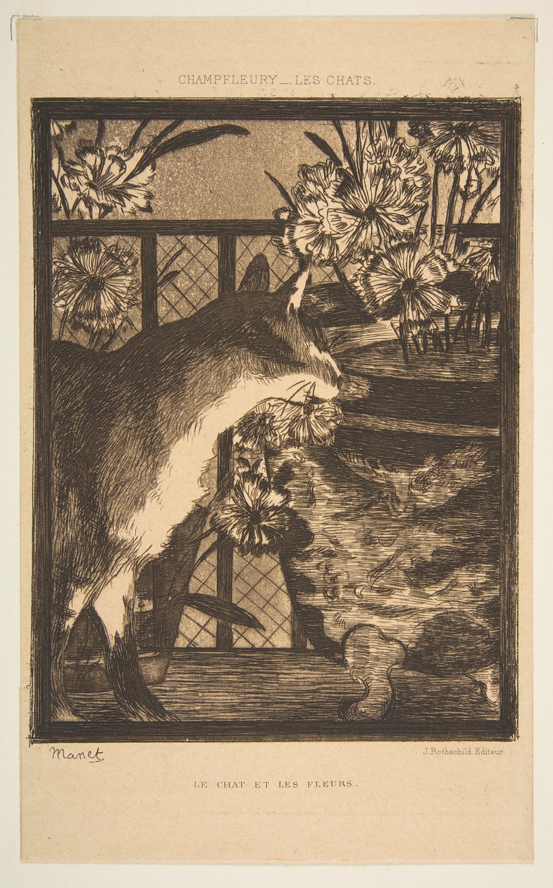 Kedi ve Çiçekler. Champfleury, 1869 tarafından Kediler için İllüstrasyon. by Édouard Manet