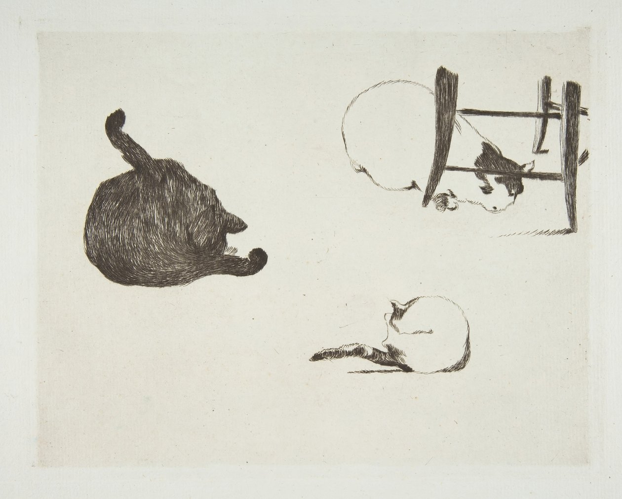 Kediler, 1868-69. by Édouard Manet