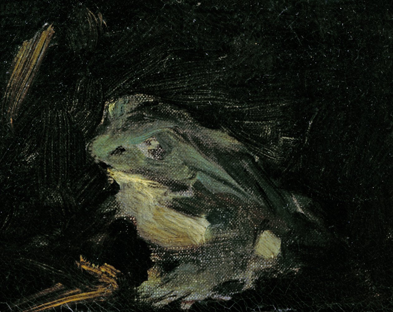 Çimlerde Öğle Yemeği, 1863 by Édouard Manet