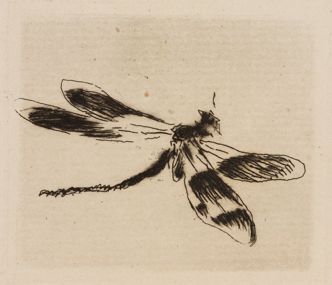 Dragonfly, The River'dan 1. plaka by Édouard Manet