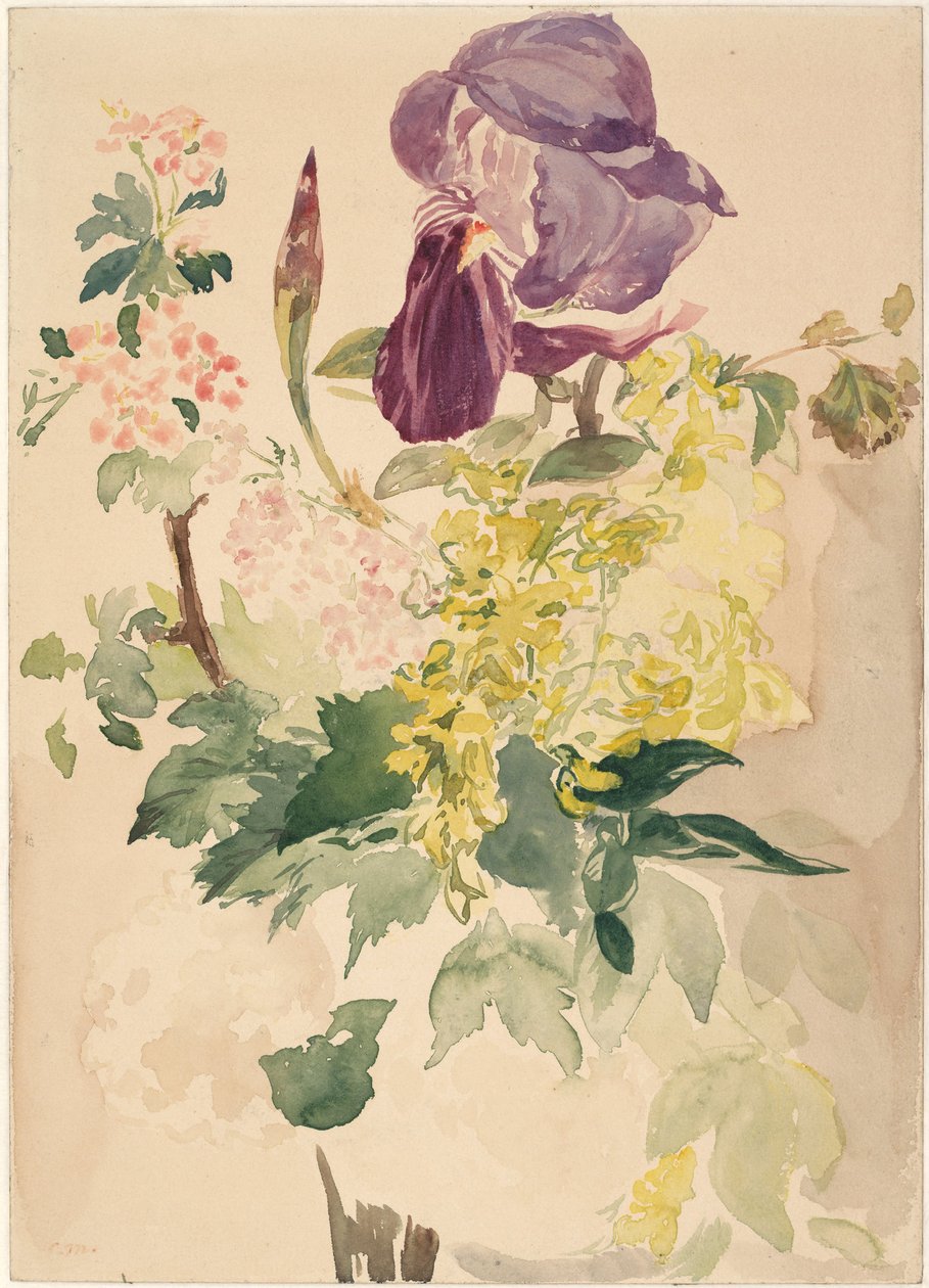 İris, Laburnum ve Sardunyalı Çiçek Parçası, 1880 by Édouard Manet