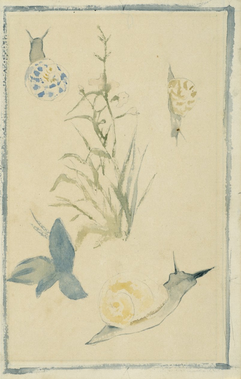 Sketches of snails, flowering plant, c.1880 by Édouard Manet