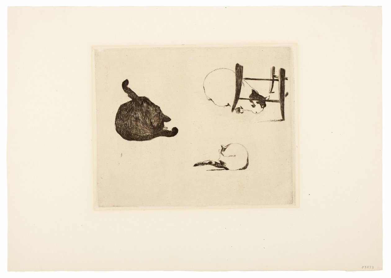 Kediler by Édouard Manet
