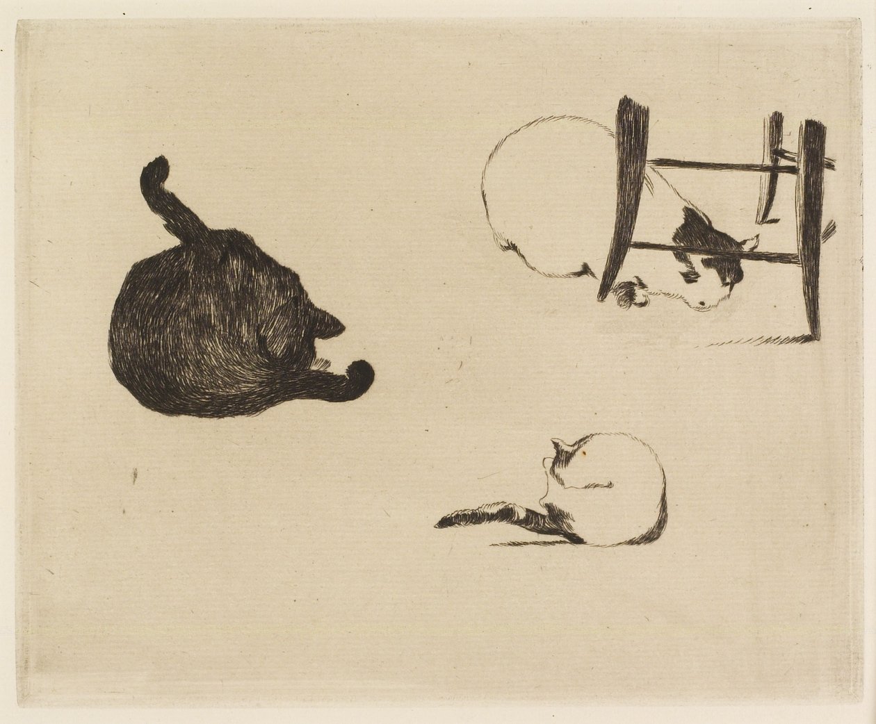 Kediler, 1869 by Édouard Manet