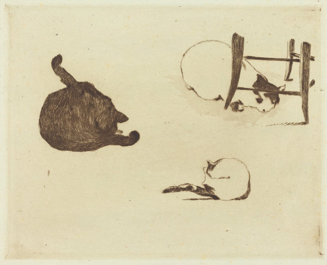 Kediler Les sohbetleri, 1869. by Édouard Manet