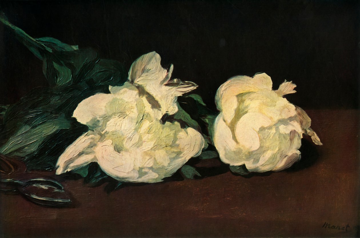 Beyaz Şakayıklar, 1864, 1937. by Édouard Manet