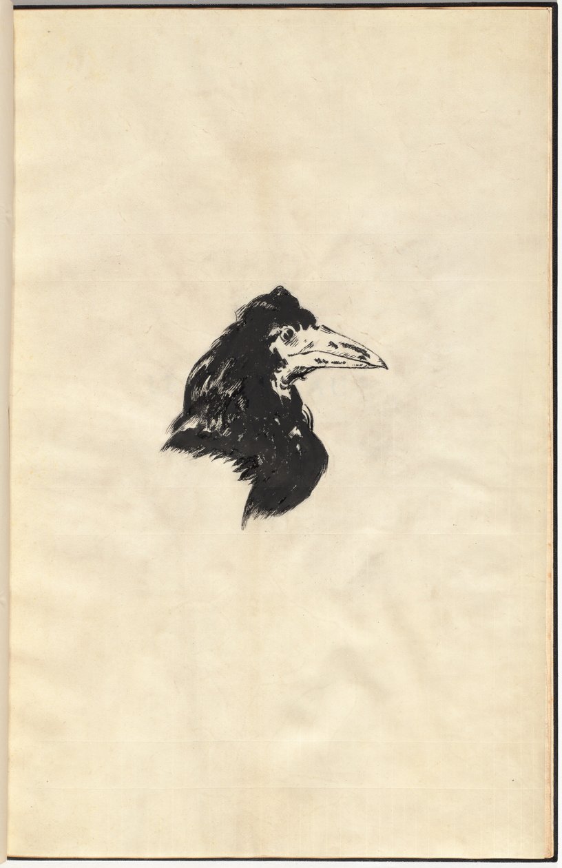 Kuzgun: Kuzgun by Edouard Manet, Edgar Allan Poe