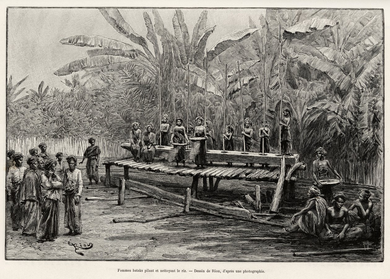 Batak kadınları, kuzey Sumatra etnik grubu, pirinç dövüyor ve temizliyor. Jules Claine (1856-1939) tarafından “Malezya