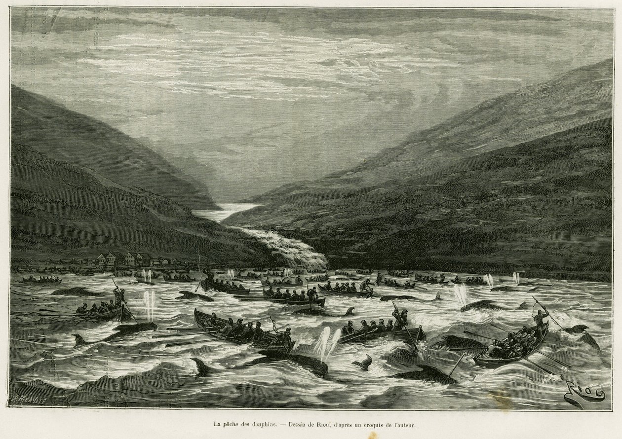 Yunus balıkçılığı. Hikayeyi göstermek için Riou tarafından gravür Faeroer takımadalarında bir ay (Faroer, Faroe, Danimarka), H.Labonne tarafından, le tour du monde 1887, Edouard Charton (1807-1890), Hachette, Paris. by Edouard Riou