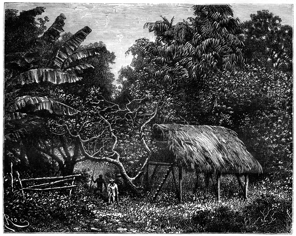 Guyana, Güney Amerika, 19. yüzyıl by Edouard Riou