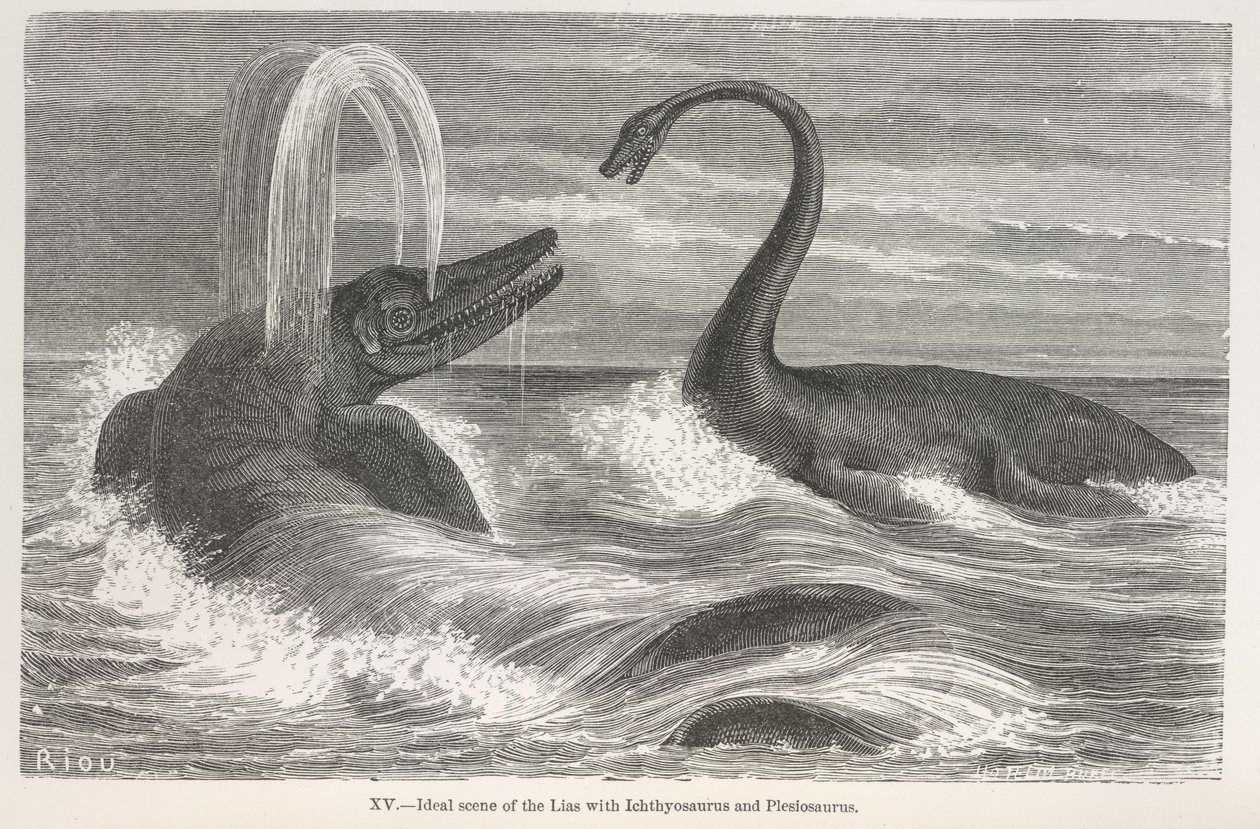 "Ichthyosaurus ve Plesiosaurus ile liasın ideal sahnesi" by Edouard Riou