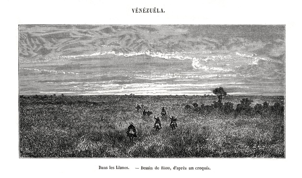 Los Llanos, Venezuela, 19. yüzyıl by Edouard Riou