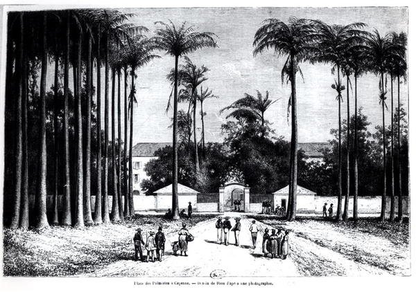 Place des Palmistes, Cayenne, Guyana by Edouard Riou