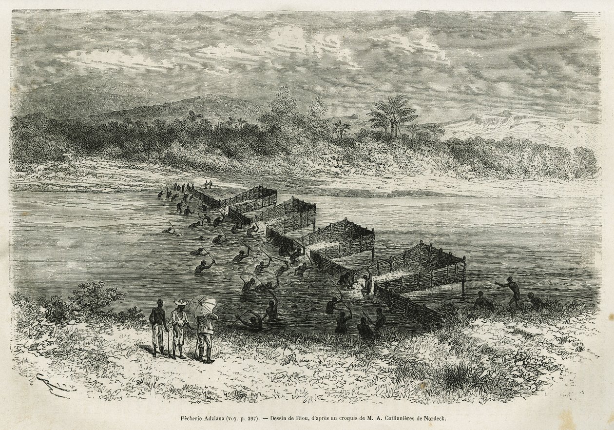 Balıkları yakalayan Eboga nehri üzerindeki balıkçılık endüstrisi, 1875-1877