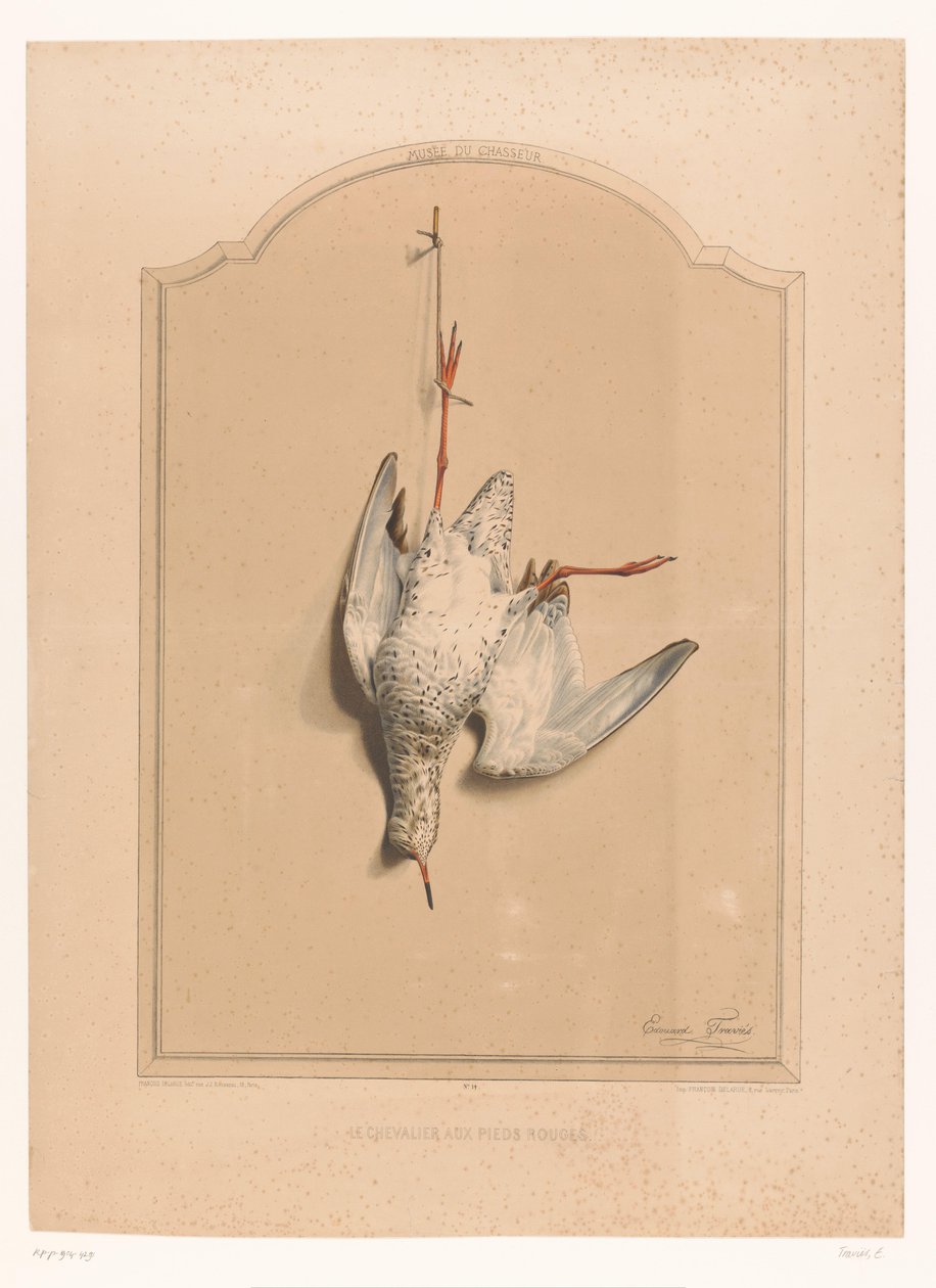 Bir bacağında asılı ölü kızılbacak Le chevalier aux pieds rouge (nesne üzerindeki başlık) Avcı Müzesi (dizi adı) Musée du chasseur (nesne üzerinde seri başlığı) by Edouard Travies
