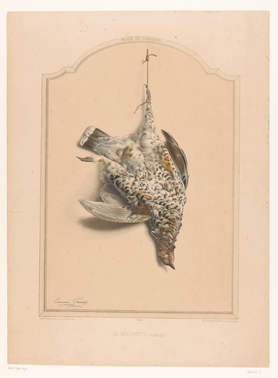 Tek ayak üzerinde asılı ölü dişi yakalı kümes hayvanı La gélinotte (dişi) (nesne üzerindeki başlık) Avcı Müzesi (dizi adı) Musée du chasseur (nesne üzerinde seri başlığı) by Edouard Travies