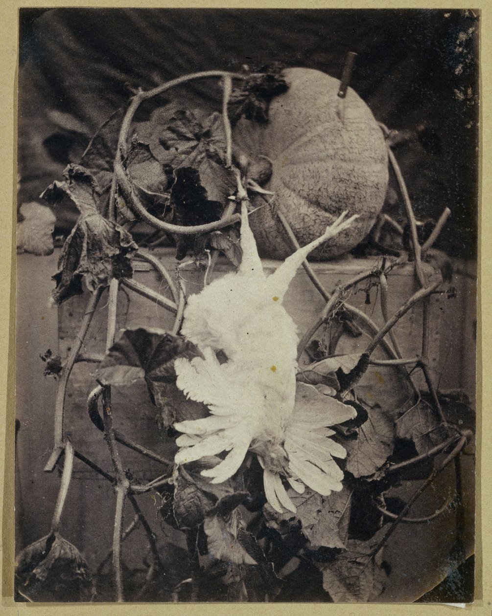 Ölü kuş ve balkabağı ile natürmort by Eduard Isaac Asser