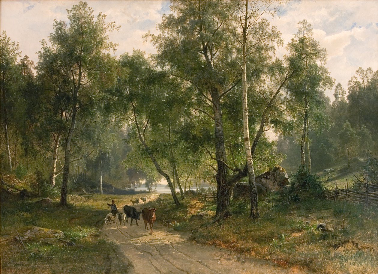 Birches