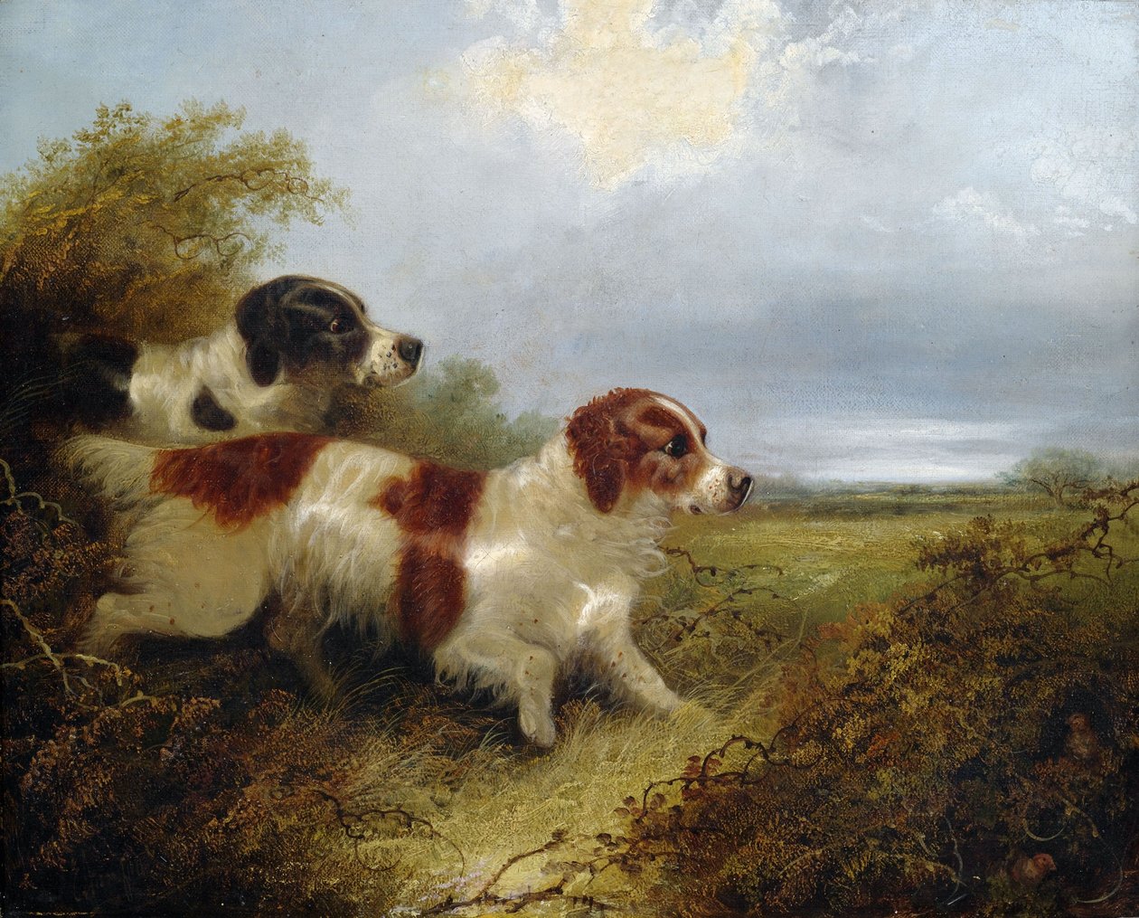 iki teriyer by Edward Armfield
