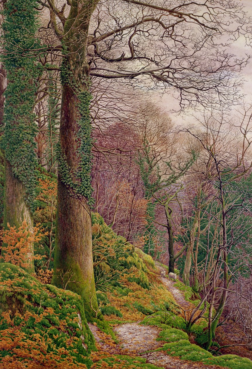 Ormanda Bir Yol by Edward Bentley
