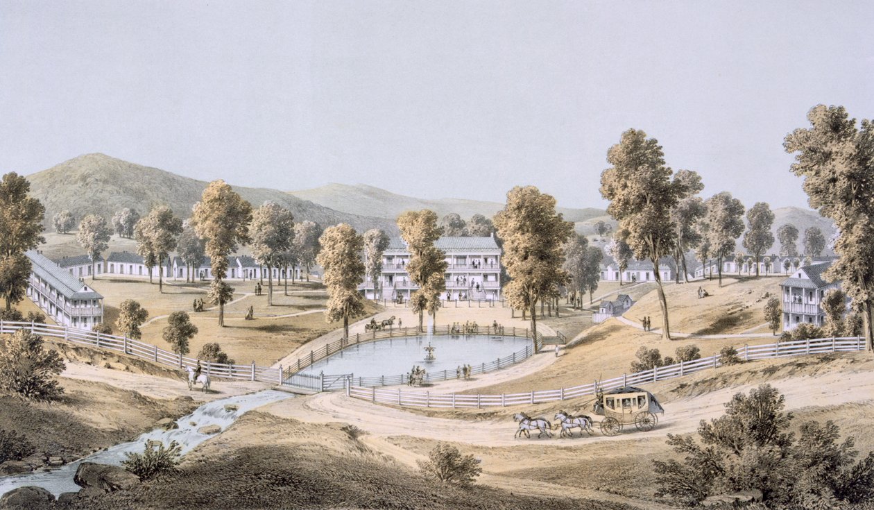 Sarı Kükürt Kaynakları, Montgomery County, 1858 by Edward Beyer