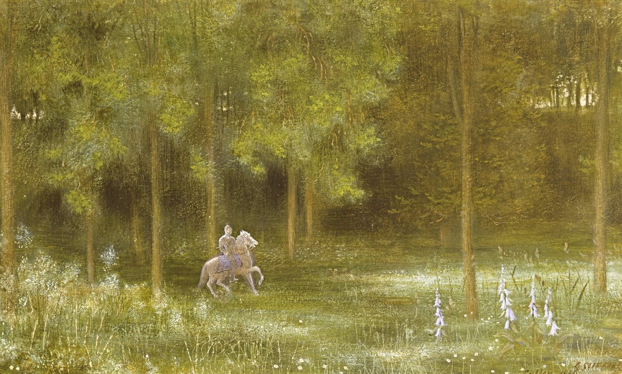 ಲ್ಯಾಂಡ್‌ಸ್ಕೇಪ್ ಟರ್ಕ್‌ನಲ್ಲಿ ನೈಟ್ by Edward Clifford