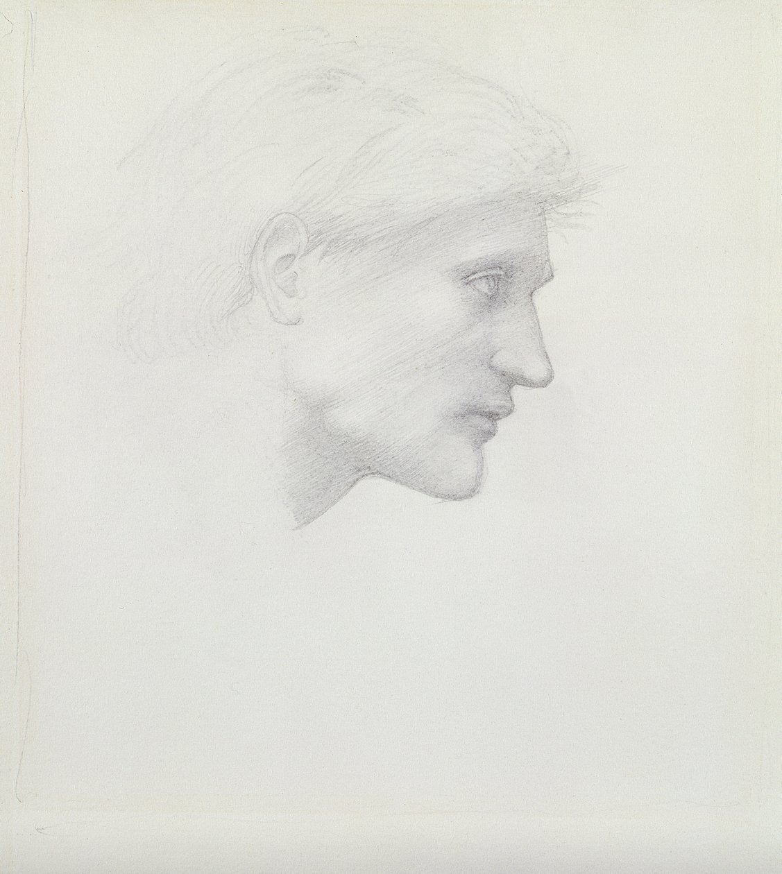 Alessandro di Marco - kafa çalışması by Edward Burne Jones
