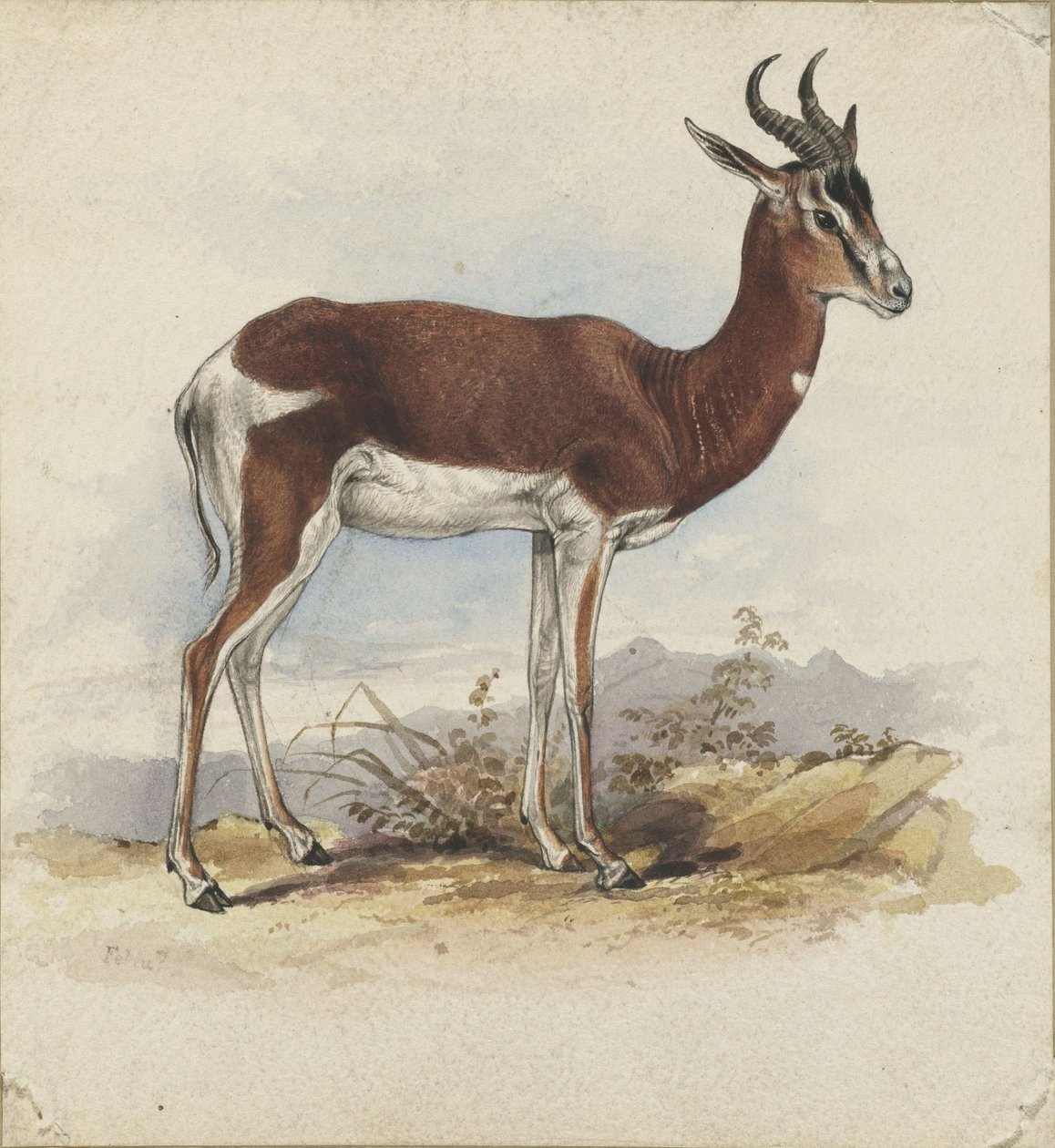 bir antilop by Edward Lear