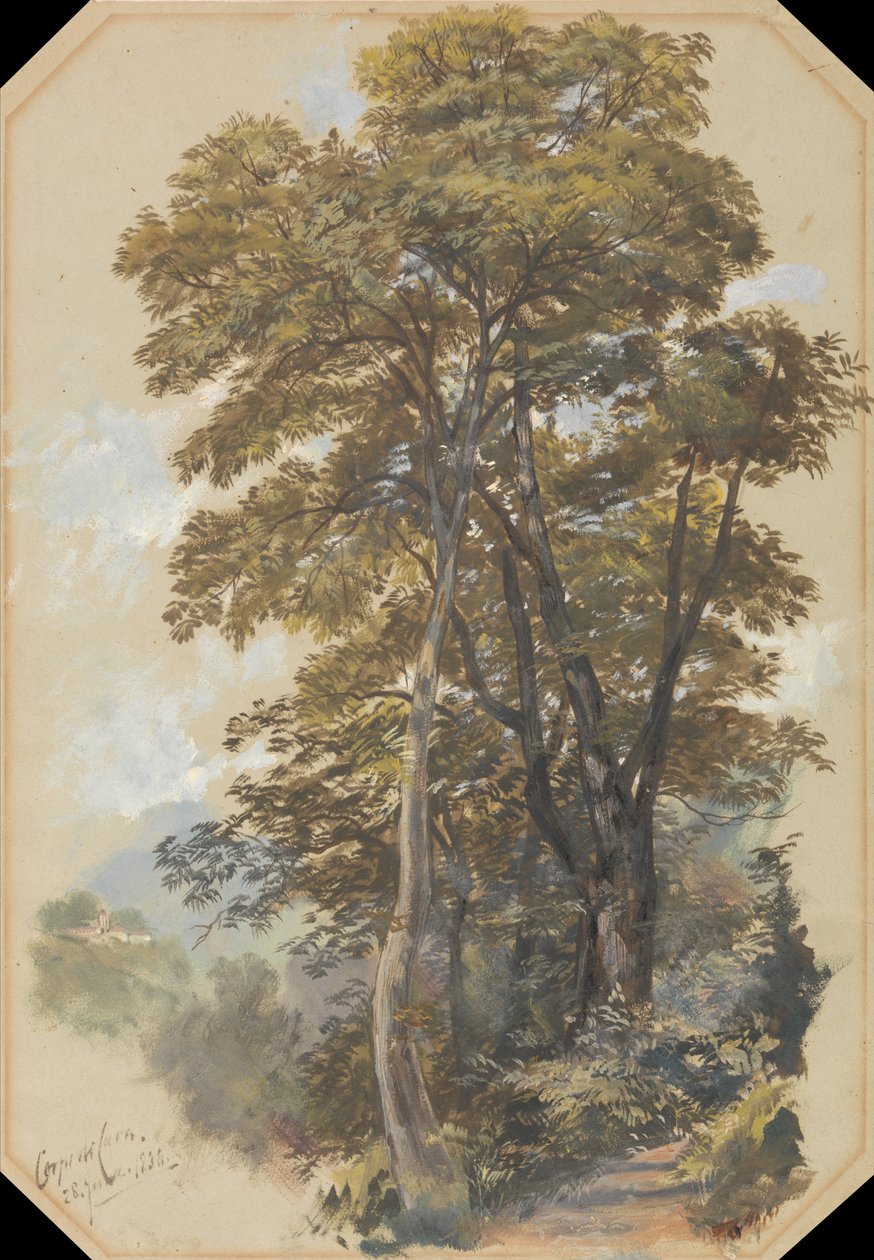 Cava Kolordusu, 28 Haziran 1838 by Edward Lear