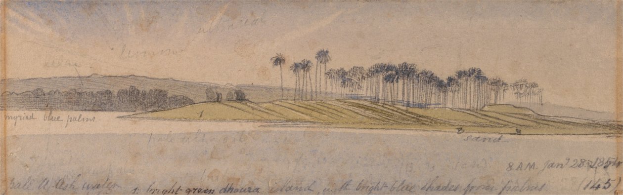Dhaura Adası by Edward Lear