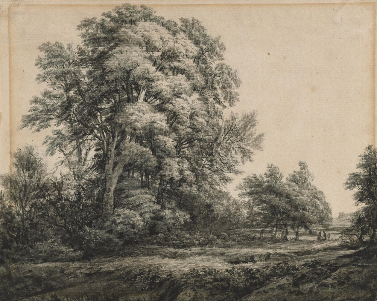 Orman Manzarası by Edward Lear