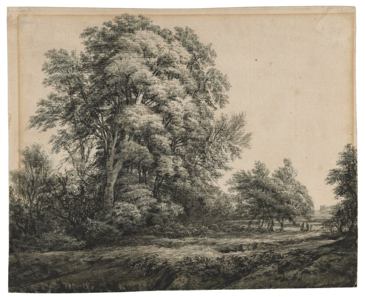 Forest Landscape, c. 1838-1848 (ink and wash on laid paper) by Edward Lear