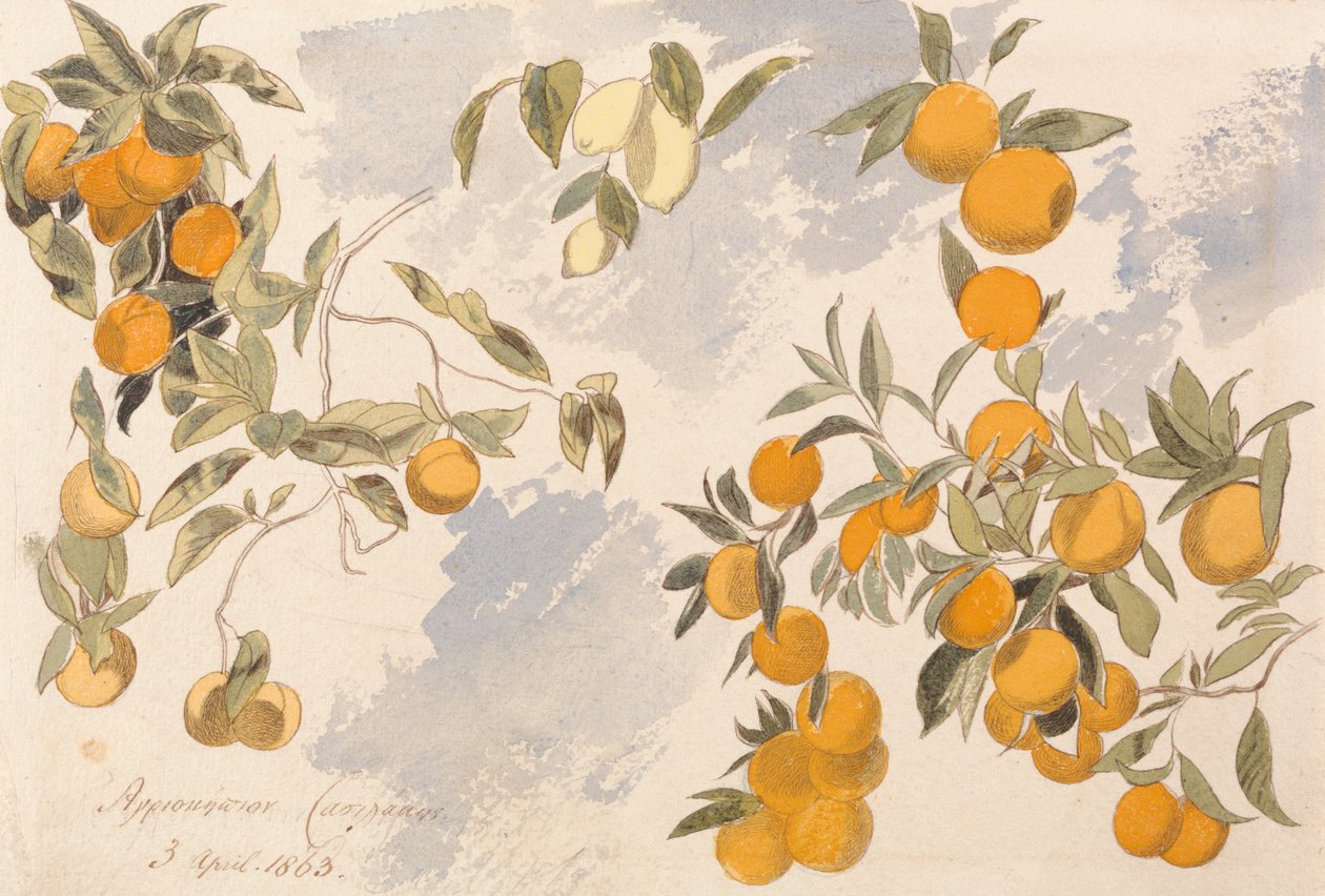 Meyve ağaçları, 3 Nisan 1863 by Edward Lear