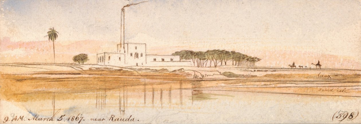 Rauda