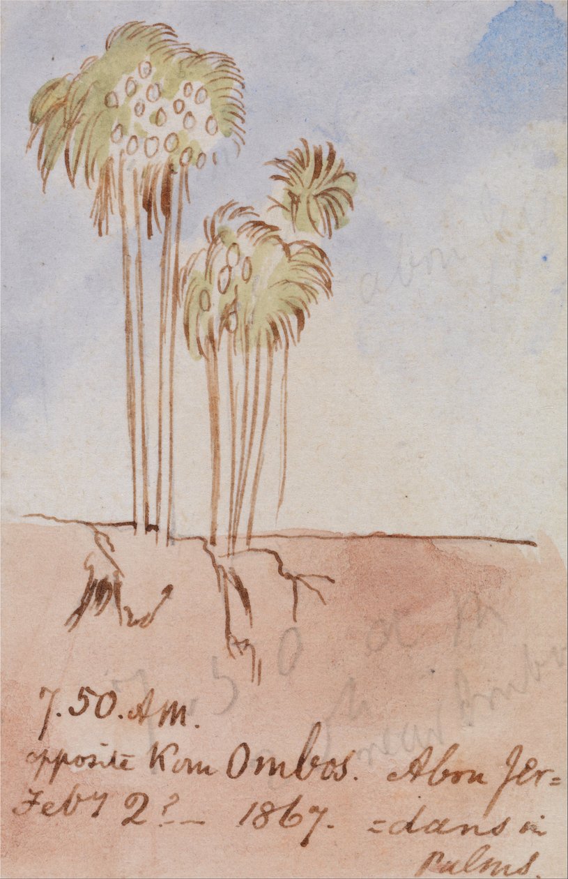 Kom Ombos Abu Jer Karşısı by Edward Lear