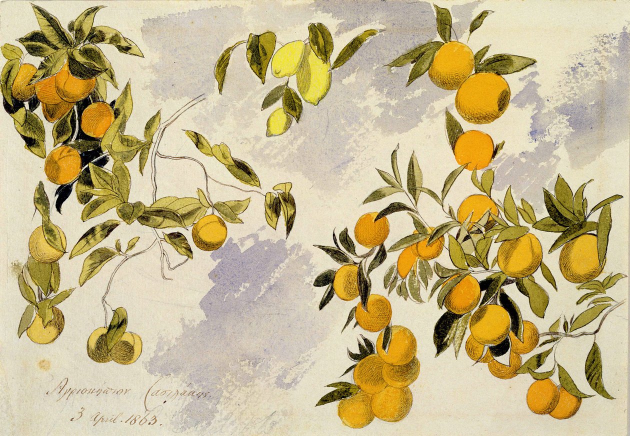 Orange Trees, 1863 (ağır dokuma kağıt üzerine grafit üzerine wc, kalem ve mürekkep) by Edward Lear