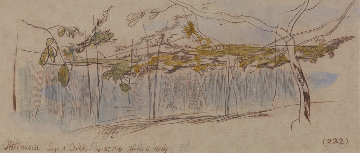 Pettenasco, Lago dOrta by Edward Lear