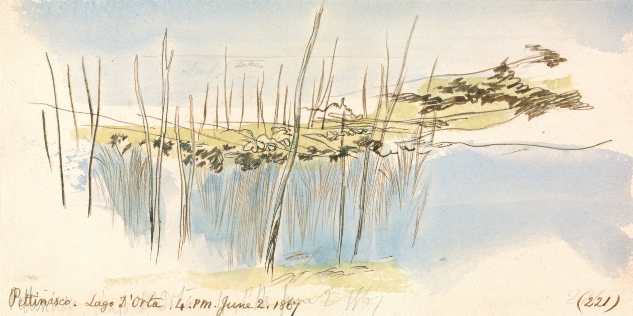 Pettenasco, Lago dOrta, 16:00, 2 Haziran 1867 (221) by Edward Lear