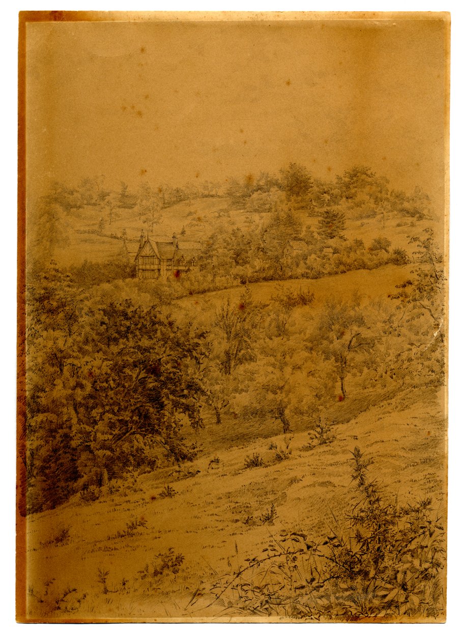 The Crippets, 1895 (kağıt üzerinde yıkamalı kalem ve mürekkep) by Edward Adrian Wilson