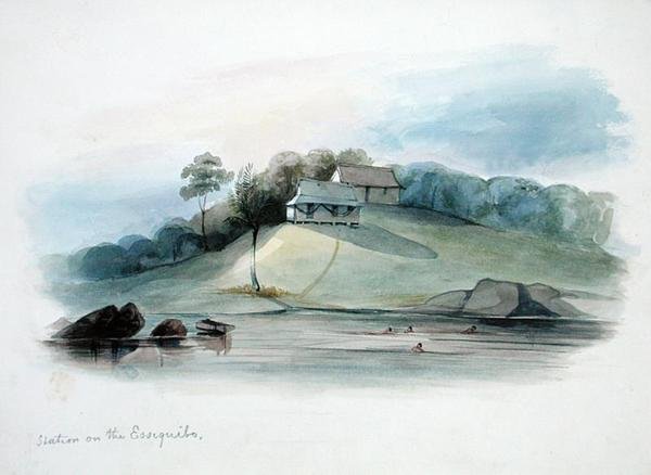 Essiquibo