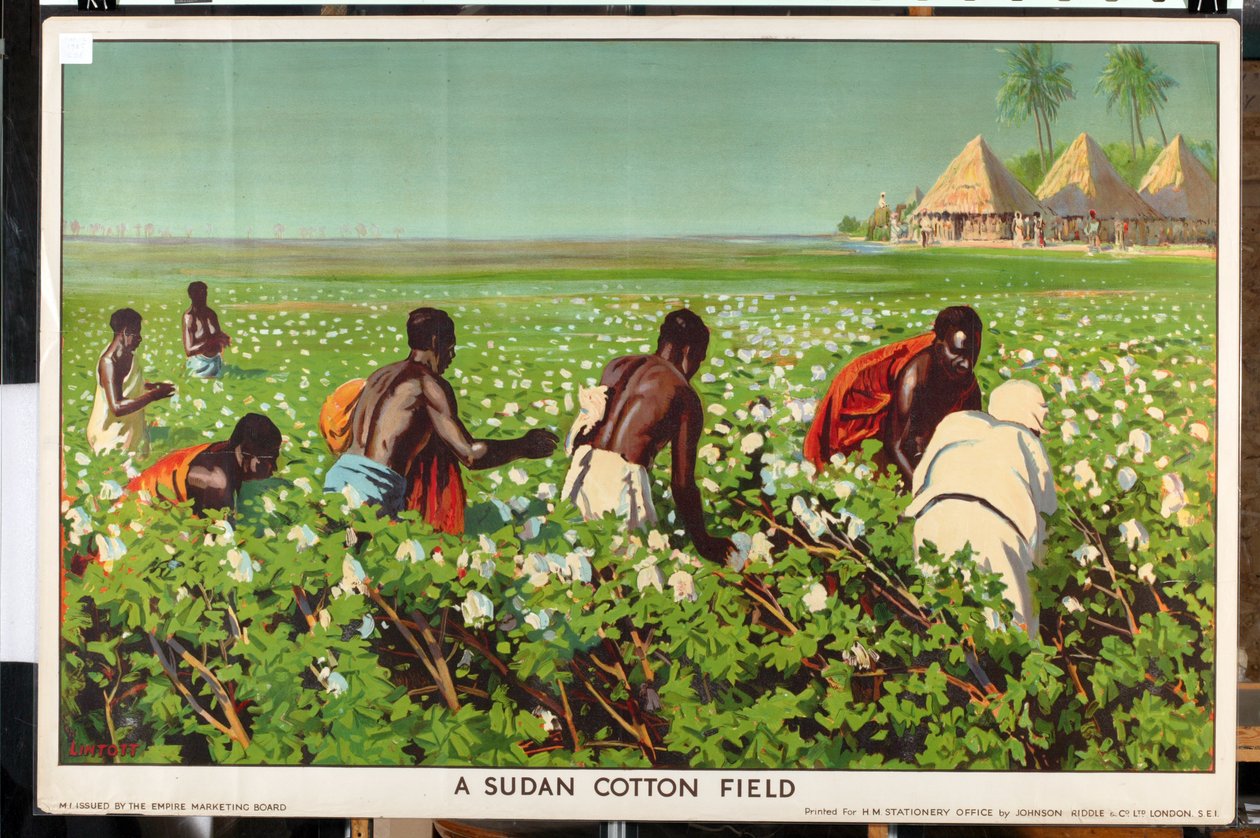 'Empire Trade is Growing' serisinden bir Sudan Pamuk Tarlası (renkli lito) by Edward Barnard Lintott