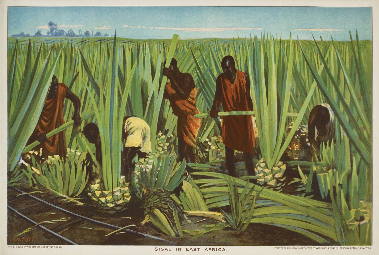Doğu Afrika'da Sisal, 'Empire Trade is Growing' serisinden by Edward Barnard Lintott