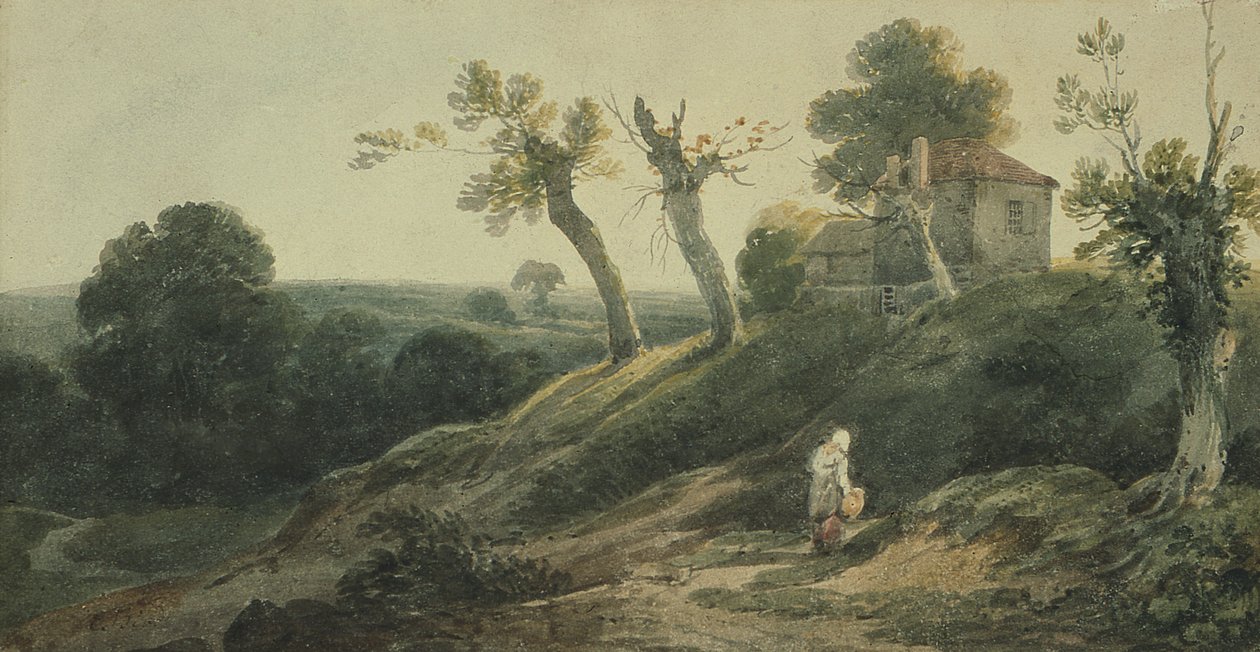 Bir Kulübe ile Manzara by Edward Bird