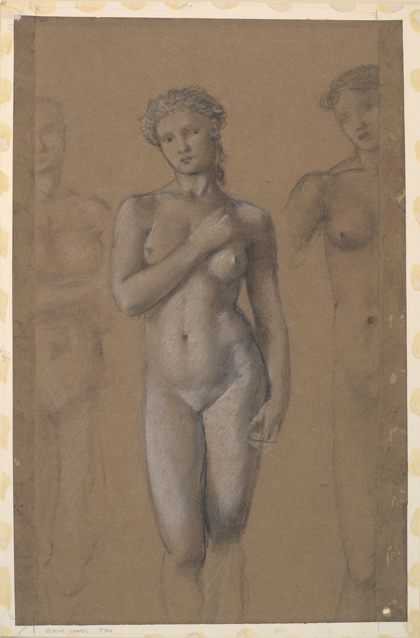 Kadın Çıplak - Üç Çalışma, muhtemelen Venüs için by Edward Burne Jones