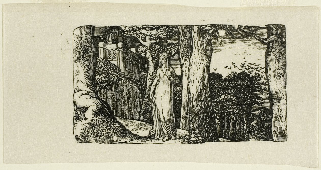 Leydi ve Kaleler by Edward Calvert