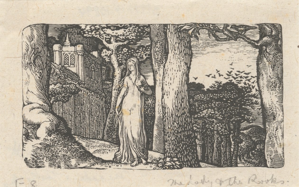 Leydi ve Kaleler by Edward Calvert