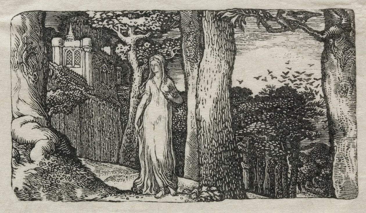 Leydi ve Kaleler, 1829. by Edward Calvert