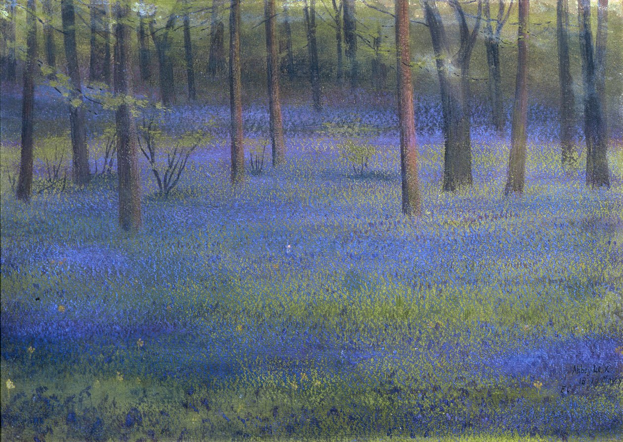 Bluebell Wood (kağıt üzerine pastel) by Edward Clifford