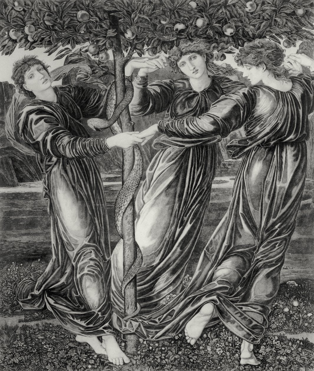 Hesperides Bahçesi by Edward Coley (after) Burne Jones