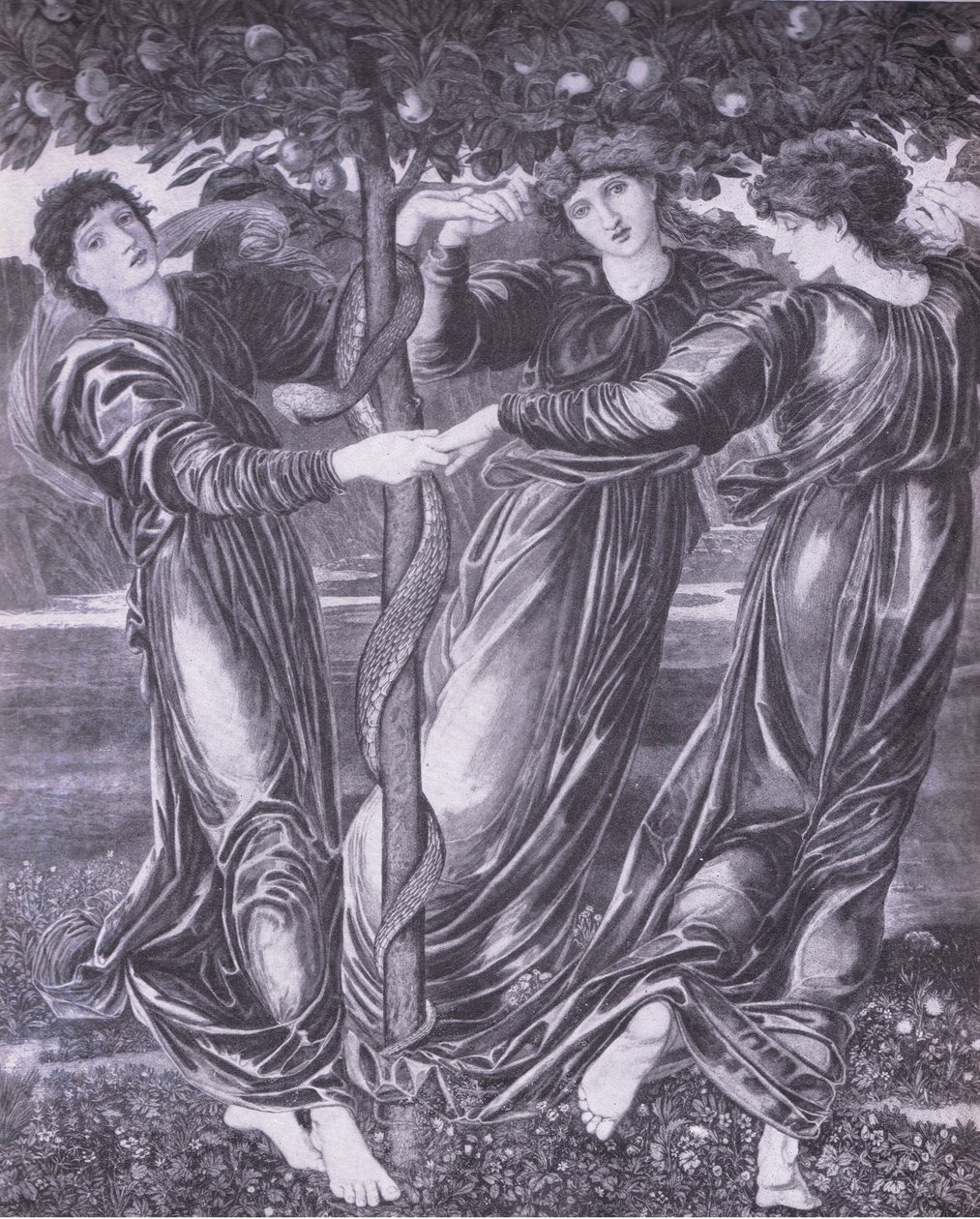 Hesperides